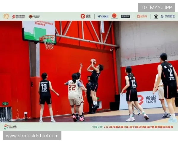 成都篮球队荣登全国篮球技术排行榜第七位引发热议